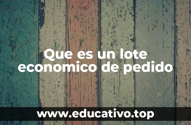 Que es un lote economico de pedido