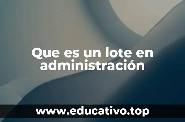 Que es un lote en administración