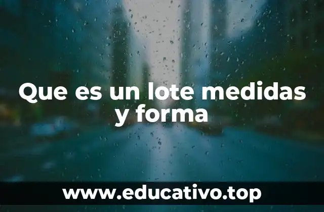 Que es un lote medidas y forma