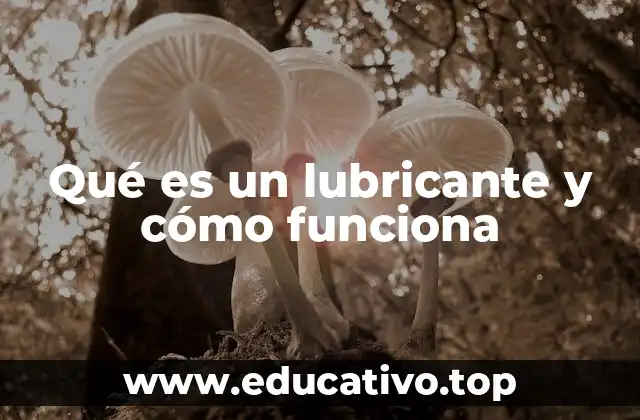 Qué es un lubricante y cómo funciona