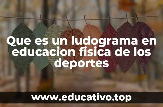 Que es un ludograma en educacion fisica de los deportes