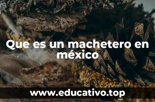 El papel de los grupos armados en la estructura criminal mexicana