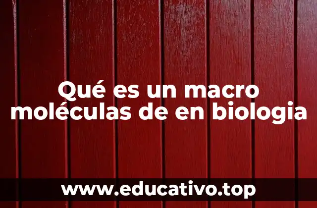 La base química de las macro moléculas biológicas