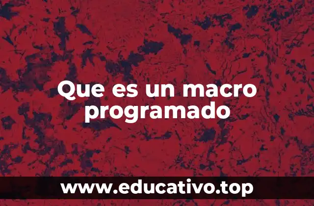 Que es un macro programado