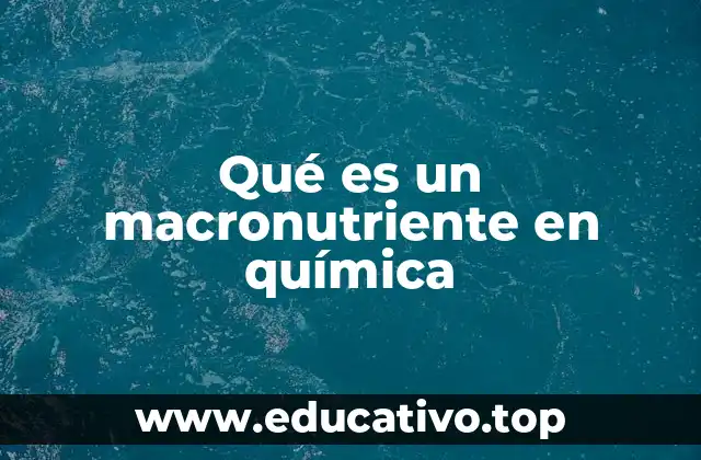 Qué es un macronutriente en química
