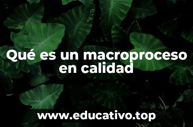 Qué es un macroproceso en calidad
