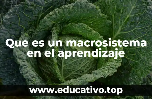 Que es un macrosistema en el aprendizaje