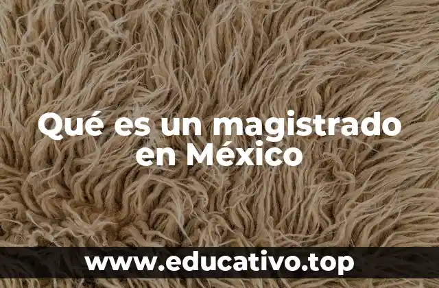 Qué es un magistrado en México
