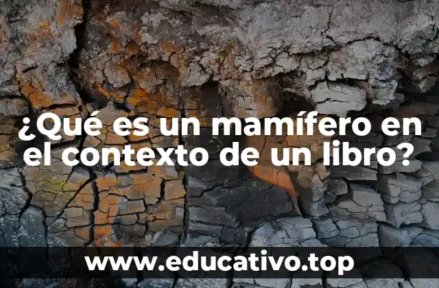¿Qué es un mamífero en el contexto de un libro?