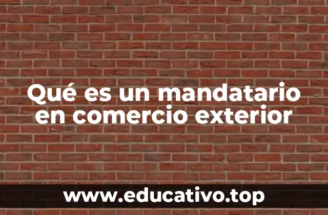 Qué es un mandatario en comercio exterior