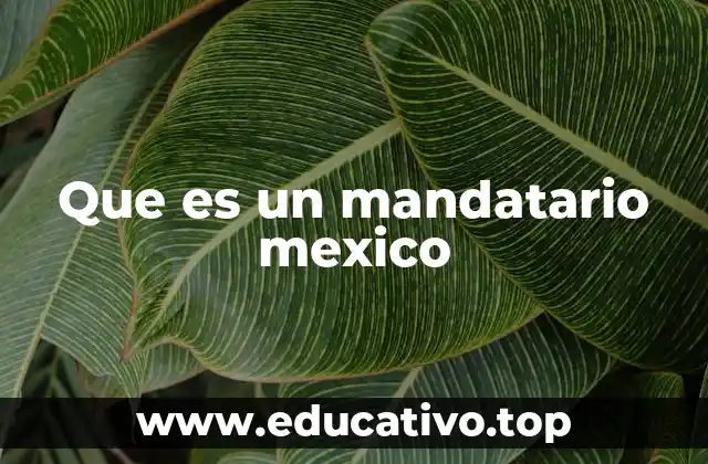 Que es un mandatario mexico
