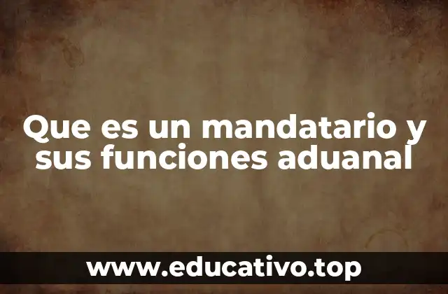 Que es un mandatario y sus funciones aduanal