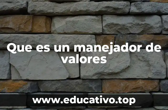Que es un manejador de valores