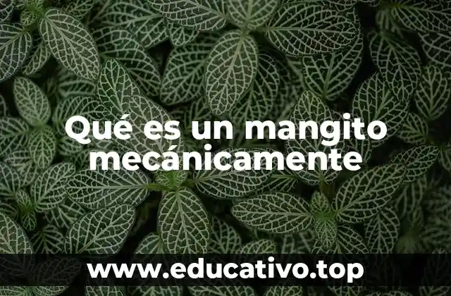 Qué es un mangito mecánicamente
