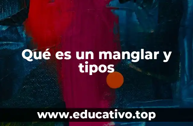 Qué es un manglar y tipos