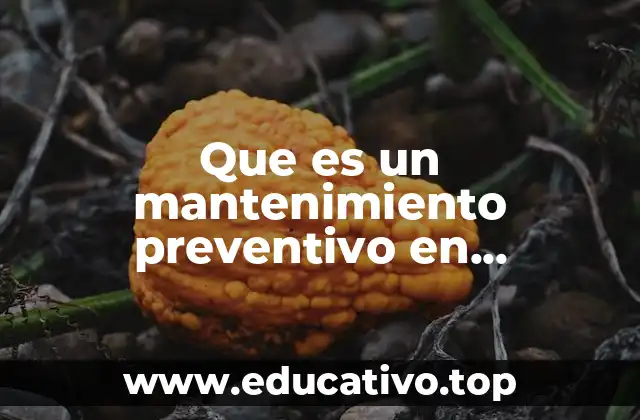 Que es un mantenimiento preventivo en informatica