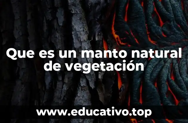 Que es un manto natural de vegetación