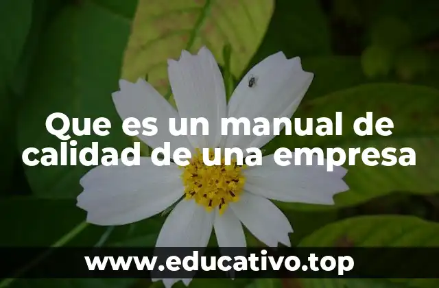 Que es un manual de calidad de una empresa