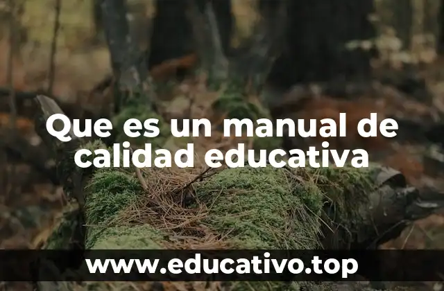 Que es un manual de calidad educativa