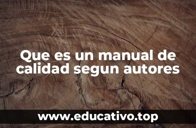 Que es un manual de calidad segun autores