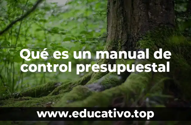 Qué es un manual de control presupuestal