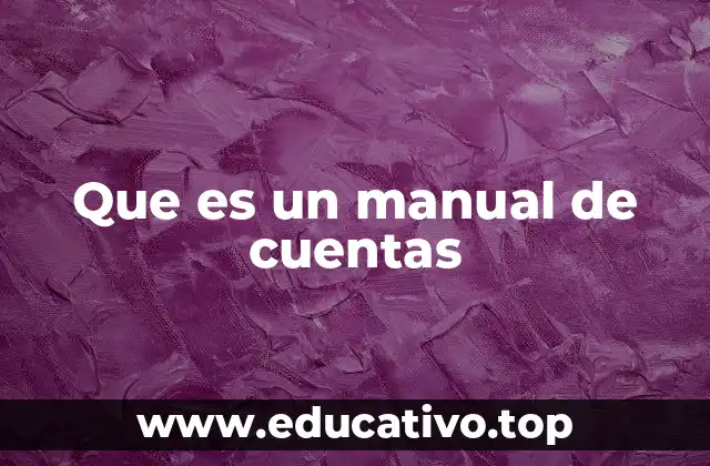 Que es un manual de cuentas