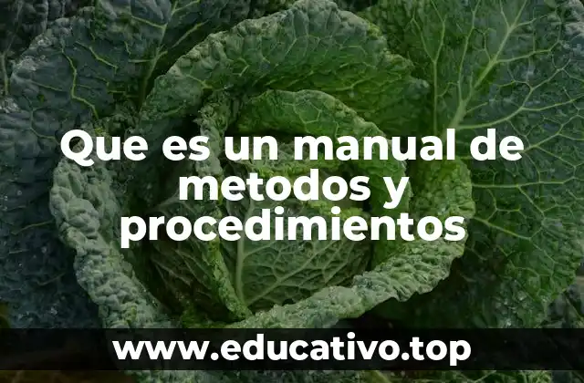Que es un manual de metodos y procedimientos