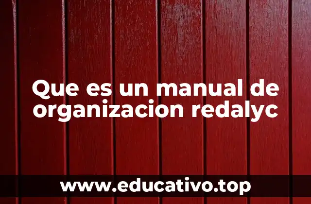 Que es un manual de organizacion redalyc