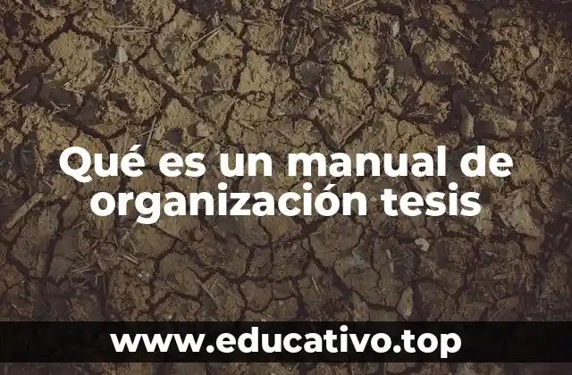 Qué es un manual de organización tesis