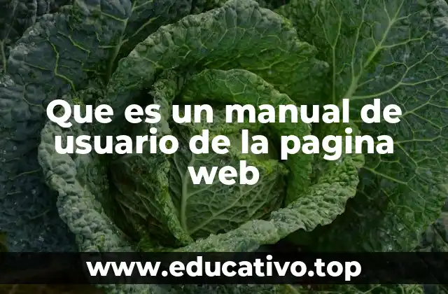 Que es un manual de usuario de la pagina web