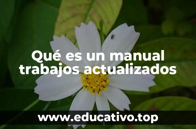 Qué es un manual trabajos actualizados