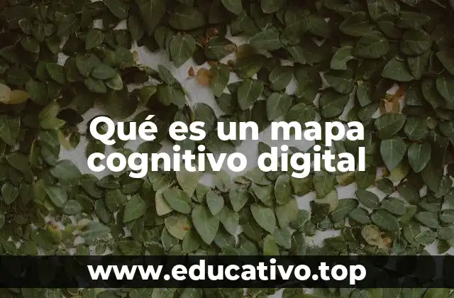 Qué es un mapa cognitivo digital