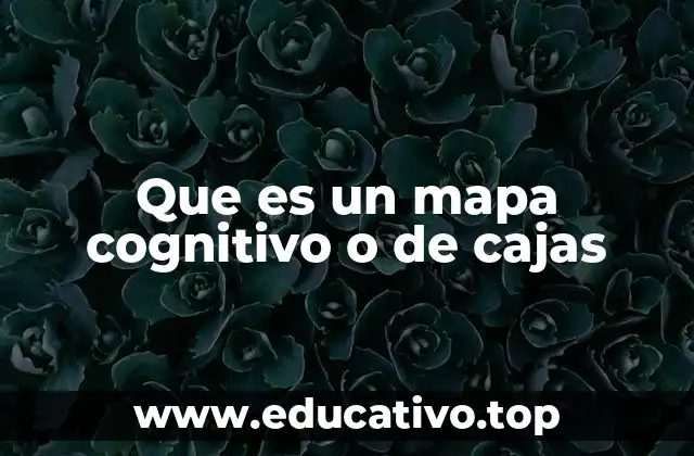 Que es un mapa cognitivo o de cajas