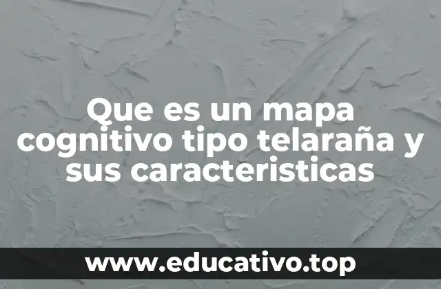 Que es un mapa cognitivo tipo telaraña y sus caracteristicas