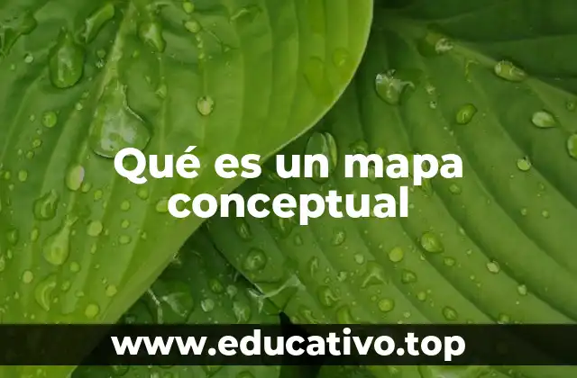 Qué es un mapa conceptual