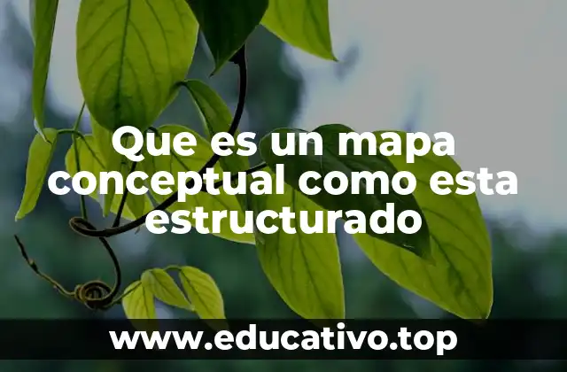 Que es un mapa conceptual como esta estructurado