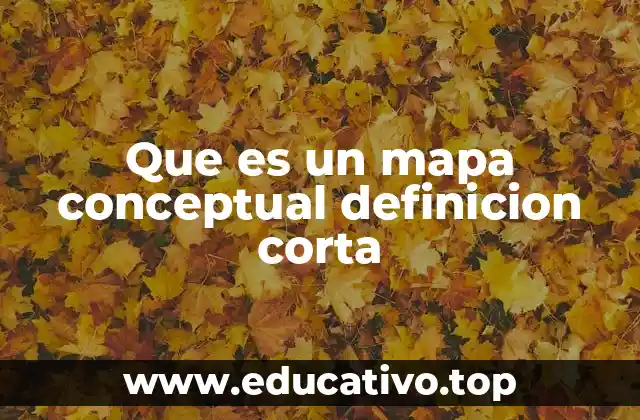 Que es un mapa conceptual definicion corta