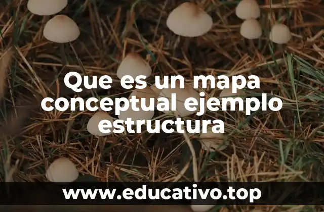 Que es un mapa conceptual ejemplo estructura