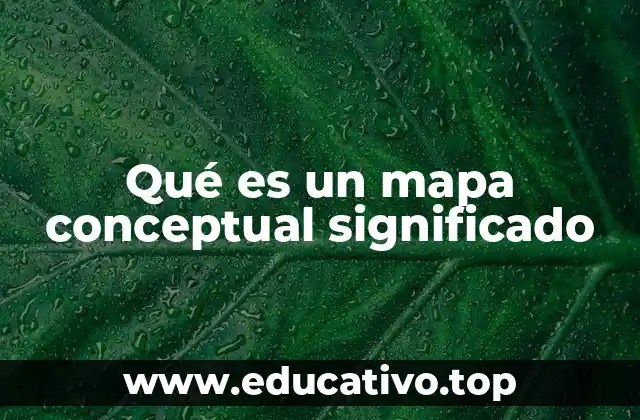 Qué es un mapa conceptual significado