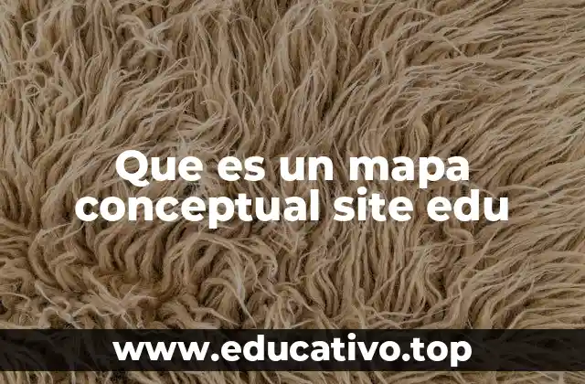 Que es un mapa conceptual site edu