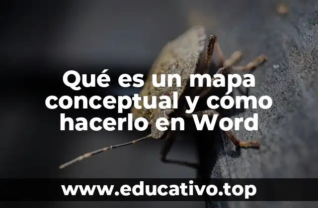 La importancia de visualizar ideas mediante mapas conceptuales