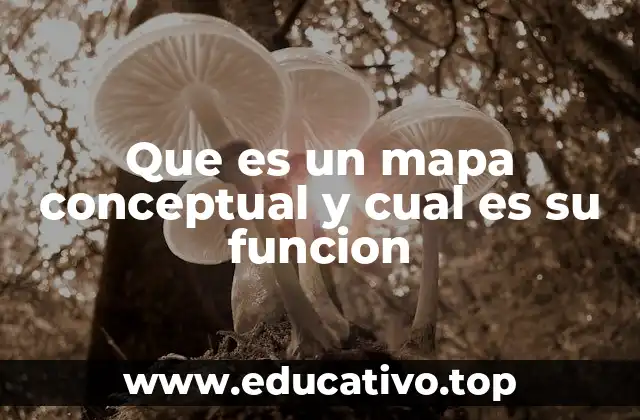 Que es un mapa conceptual y cual es su funcion