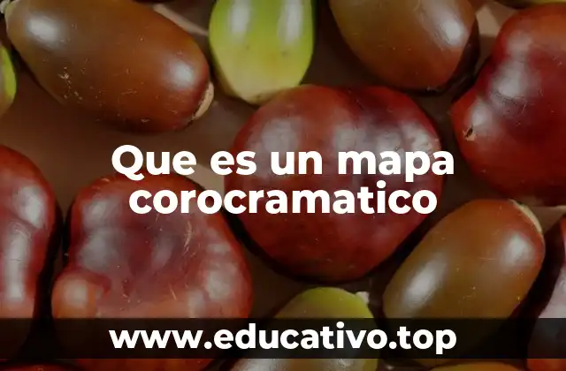 Que es un mapa corocramatico