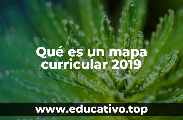 Qué es un mapa curricular 2019