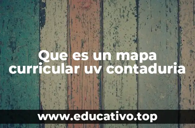 Que es un mapa curricular uv contaduria