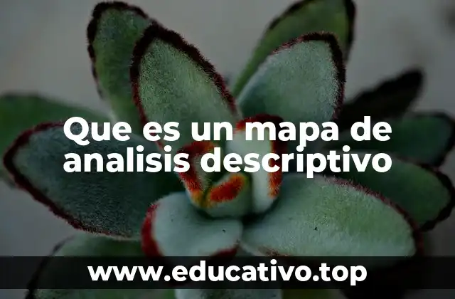 Que es un mapa de analisis descriptivo