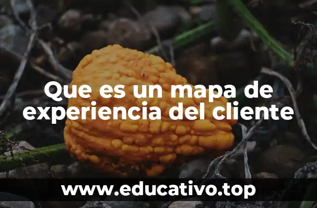 Que es un mapa de experiencia del cliente