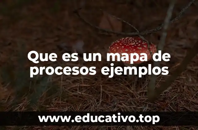 La importancia de visualizar los procesos empresariales