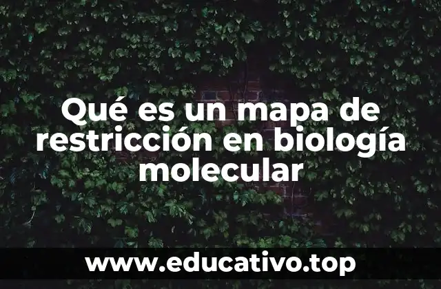 Qué es un mapa de restricción en biología molecular