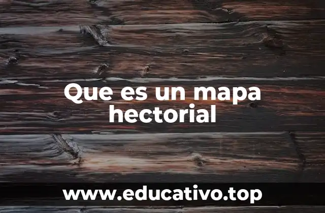 Que es un mapa hectorial